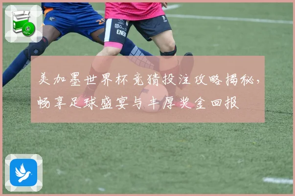 美加墨世界杯竞猜投注攻略揭秘，畅享足球盛宴与丰厚奖金回报